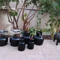 پیک نیک