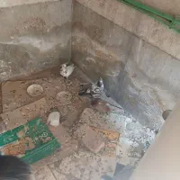 ۰۹۱۳۸۵۰۵۶۹۵