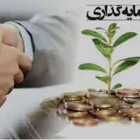 سرمایه گذاری