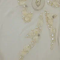 بلوز مجلسی کارشده