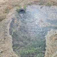 فروش ۲.۵ حبه اب همراه زمین پسته ای|فروش دفتر صنعتی، کشاورزی، تجاری|ماهان, |دیوار