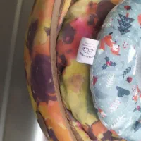 لانه دو حالته ضد حساسیت برای حیوانات|لوازم جانبی حیوانات|رشت, گلباغ نماز|دیوار