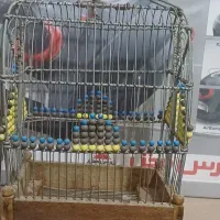 سه عدد قفس دستباف|لوازم جانبی حیوانات|پاکدشت, پاکدشت (مامازند)|دیوار