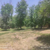 زمین ساردوئیه