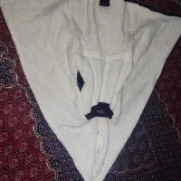 پالتو|لباس|سنقر, |دیوار