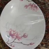 سرویس ارکوپال