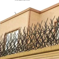 حفاظ روی دیوار شاخگوزنی میلگردی ،بوته ای،در پنجره|خدمات پیشه و مهارت|مشهد, الهیه|دیوار