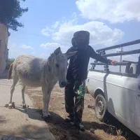 پارس آباد مغان