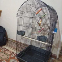 قفس یک متری بزرگ با لوازم|لوازم جانبی حیوانات|تهران, توحید|دیوار
