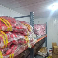 پخش ذرت و پنیر پیتزا و ...|عمدهفروشی|اسلامشهر, شهرک صنعتی چیچکلو|دیوار