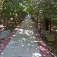 سنگکاری. سیمانکاری . کاشی کاری .دیوار چینی .گچکار