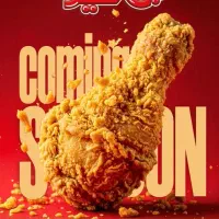 نیروی کار آقا جهت آشپزخانه