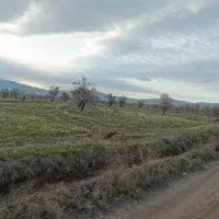 فروش زمین ویلایی صوفیان
