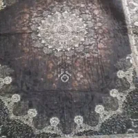 دوتا روفرشی پشت نمد