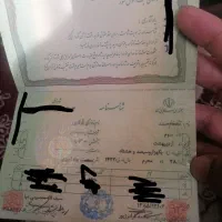 شناسنامه گمشده