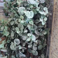 درختچه مصنوعی