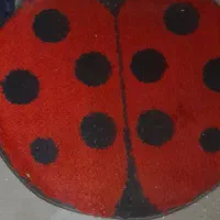 کفشدوز