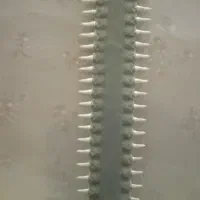 دندان اره ماهی