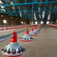 هواکش گلخانه و مرغداری|ماشینآلات صنعتی|کرمان, |دیوار