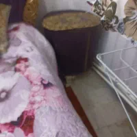 تخت خواب به همراه میز کنسول و صندلی|تخت و سرویس خواب|تهران, سازمان آب|دیوار