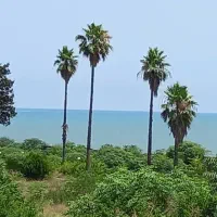 ویلای سه خوابه استخردار تراس روبه ساحل