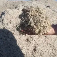 باگاس نیشکر خوزستان|عمده‌فروشی|کارون, |دیوار