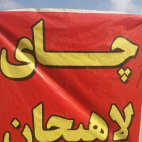 چای لاهیجان ، چای بهاره ، چای تازه