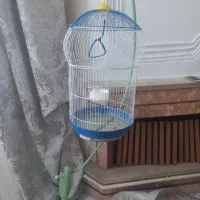 قفس به همراه پرنده