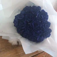 گل روبانی