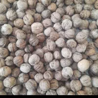 گردو فسنجانی