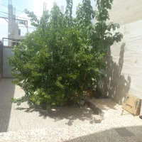 خانه مسافر دشت مغان