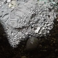 فروش نیم دانگ چاه و زمین مخصوص گلخانه و.. ابرکوه