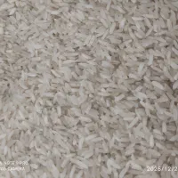 برنج|خوردنی و آشامیدنی|قم, شهدا|دیوار