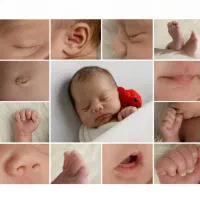 عکاسی و فیلمبرداری|خدمات پذیرایی، مراسم|شیروان (خراسان), |دیوار