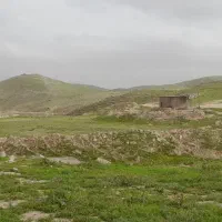 زمین-برای-نهال-و-زعفران
