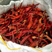 خوراکی