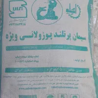 مجسمه سیمانی