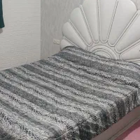 تخت خواب و کاناپه چرمی