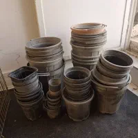 گلدان