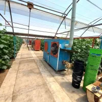 گلخانه فعال با اقامتگاه،امکانات کامل نزدیک پایتخت|فروش دفتر صنعتی، کشاورزی، تجاری|باغستان, |دیوار