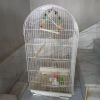 قفس پرنده
