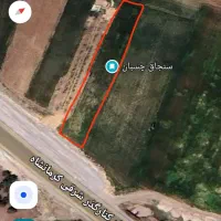 زمین کشاورزی تک برگ سند در روستای باقله