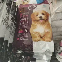 نمایندگی فروش غذای سگ و گربه سزارکندی|لوازم جانبی حیوانات|رباطکریم, یقه|دیوار