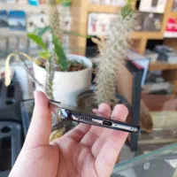 سامسونگ Galaxy S22 Plus 5G حافظه ۲۵۶گیگ رم ۸|موبایل|یزد, |دیوار