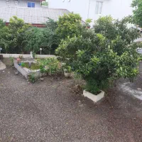 سویت کوچک طالب آباد انزلی