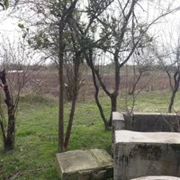 زمین ۴۱۶ متری مسکونی روستای چمن|فروش زمین و ملک کلنگی|طاهرگوراب, |دیوار