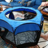 پارک سگ یا گربه|لوازم جانبی حیوانات|پردیس, فاز ۱۱|دیوار