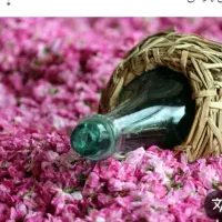 گلاب تازه۲۴ کیلو ی سنگین با تست
