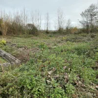 زمین-مسکونی-منطقه-آزادانزلی-سرخشکی-پیرعلیده