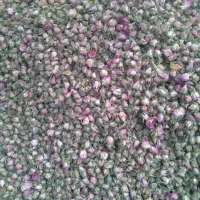 فروش گل غنچه